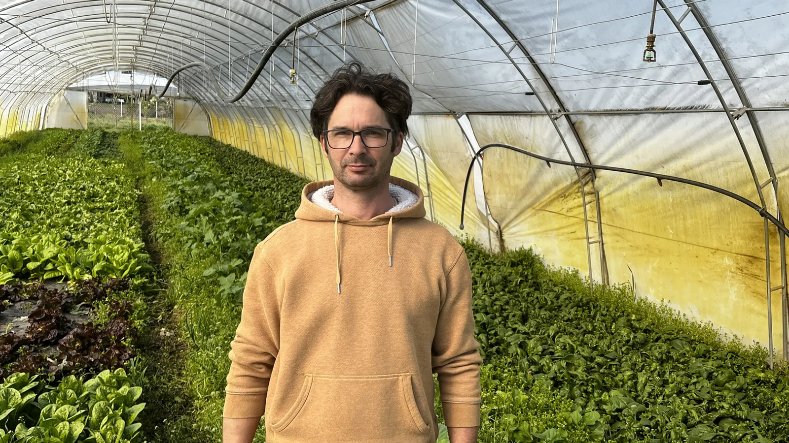 A Csikós Biokertészet a Vajdasági Rohonczy Gedeon Mentorprogram támogatásával tart lépést a kihívásokkal