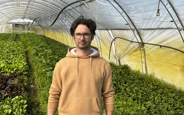 A Csikós Biokertészet a Vajdasági Rohonczy Gedeon Mentorprogram támogatásával tart lépést a kihívásokkal