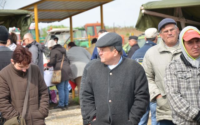 Bemutatkoztak a nyertes pályázók Magyarkanizsán (képek)