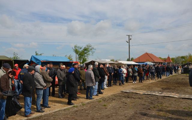 Bemutatkoztak a nyertes pályázók Magyarkanizsán (képek)