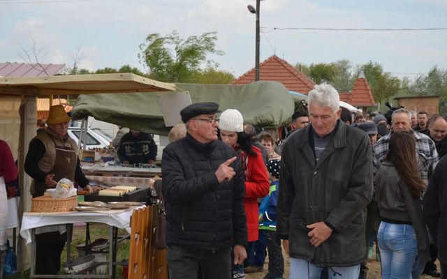 Bemutatkoztak a nyertes pályázók Magyarkanizsán (képek)