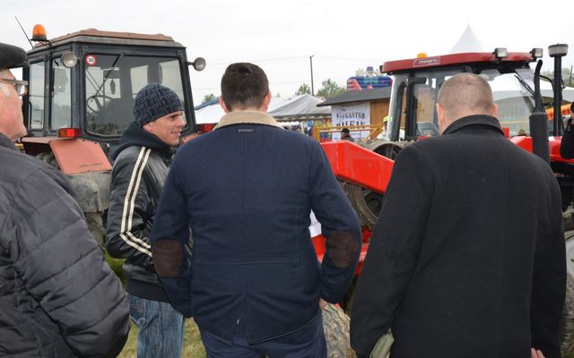 Bemutatkoztak a nyertes pályázók Magyarkanizsán (képek)