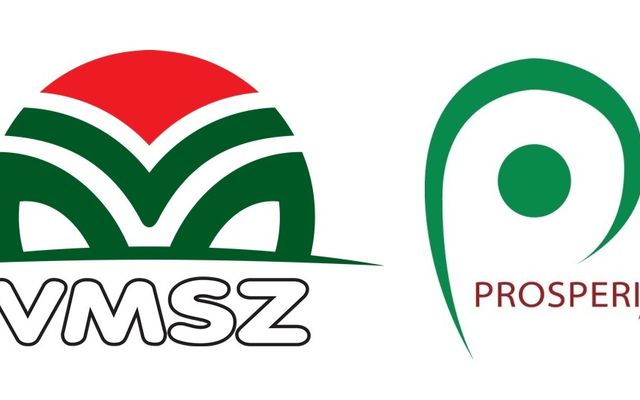 HATÁROZAT A VAJDASÁGI MAGYAR KÖZÖSSÉG TERÜLET- ÉS GAZDASÁGFEJLESZTÉSI STRATÉGIÁJA 2026–2033 TERVEZETÉNEK KÖZVITÁRA BOCSÁTÁSÁRÓL