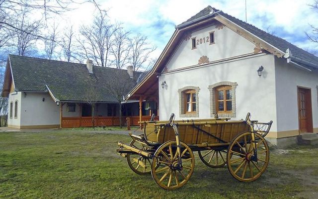 Ahol mindenki otthonosan érezheti magát