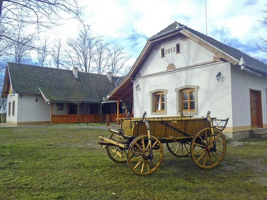 Ahol mindenki otthonosan érezheti magát